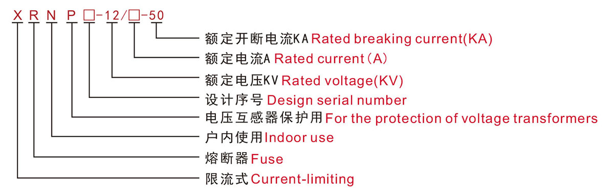 XRNP-1 XRNP-1